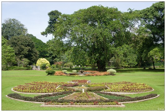 im Park<br>Botanischer Garten Bogor