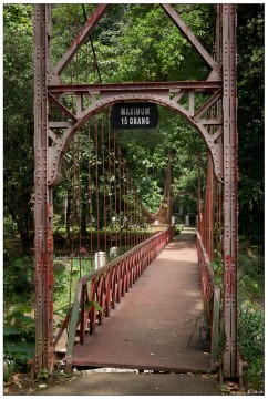 15 Orang<br>Botanischer Garten Bogor