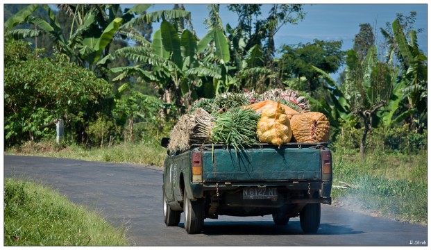 Gemüsetransport