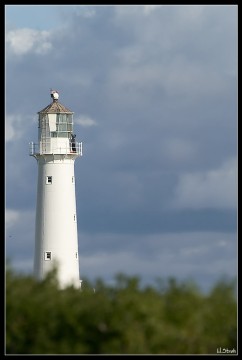 Auch ein Leuchtturm will geschrubbt sein...
Cape Egmont Lighthouse